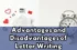 The Advantages and Disadvantages of Letter Writing: A Heartfelt Practice in a Digital Age